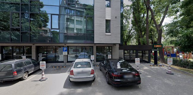 Ил Монте Тратория / IL MONTE Trattoria