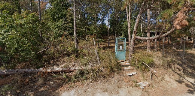 Opinii despre Бистро Фичоза în Варна - Гастрономия и хотелиерство