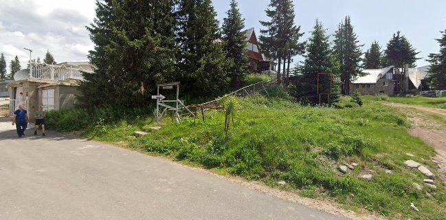 Чайна Мургавец