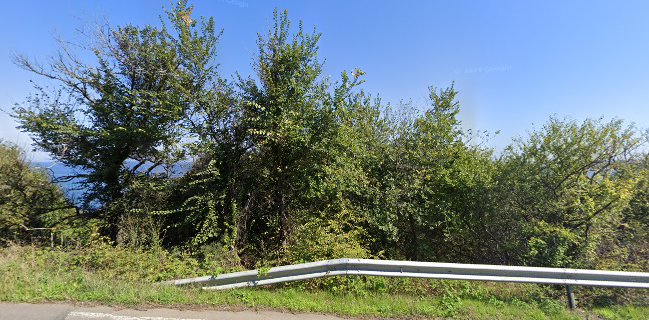 "Dolphin Beach Bar & Dinner" / Плажен Бар Делфин