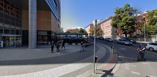 The Chicken Guy-Mall Markovo Tepe