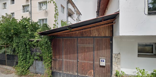 Далас (Станев и синове ООД)