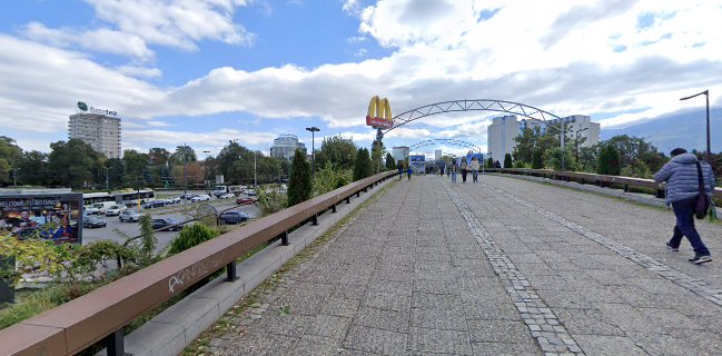 Cocktail Bar Botanico, Sofia